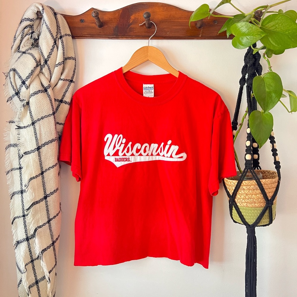Wisconsin Badgers Crop Top